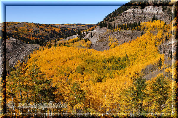 Cumbres Railroad, total gelber Aspenwald öffnet sich direkt neben der Bahnstrecke