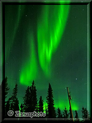 Grüne Nordlichter geistern über den Nachthimmel