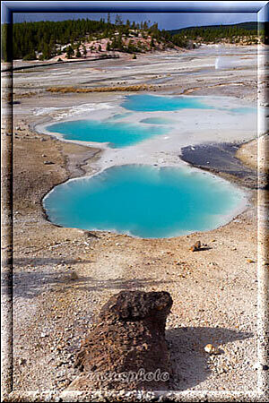 Yellowstone, schöne hellblaue Wasser Pools liegen jetzt direkt vor uns
