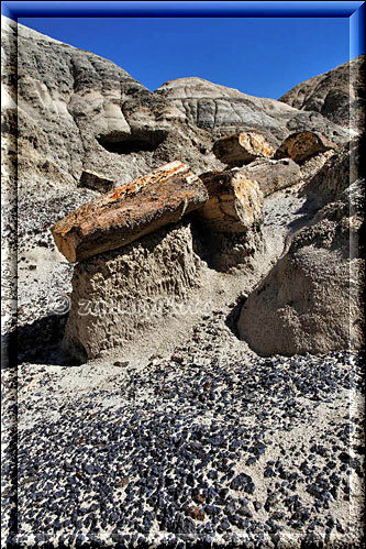 De-Na-Zin, Holzteile, versteinert, in diesem Hügelgewirr