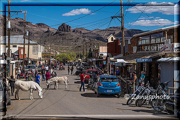 Oatman, die Esel bewegen sich erst zu Seite wenn sie von anderen Leuten gefüttert werden