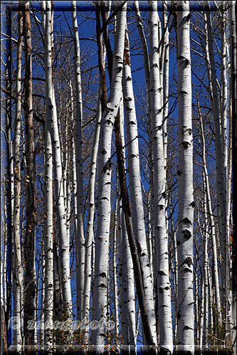 Bergpässe: Mc Clure, Kebler und Ohio in Colorado