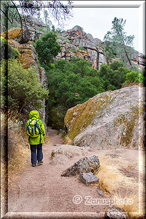 Pinnacles National Park, der Trail windet sich durch breite Felsen