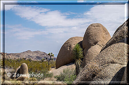 Joshua Tree, diese Jumbo Rocks sehen allerdings recht schön aus für die Besucher