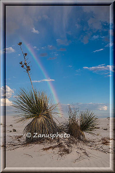 White Sands, nicht hier aber in der Nähe hat es wohl Regen gegeben daher der Regenbogen 