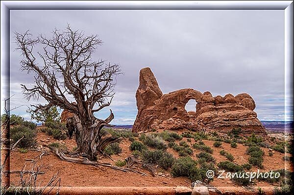 Arches Park, aus dem North Window heraus schauen wir zum Turret Arch hinüber