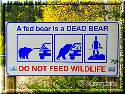 Warnschild, dont feed Baers