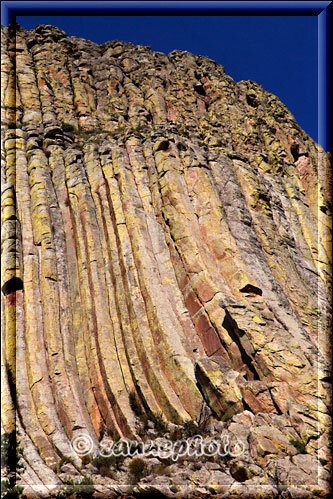Devils Tower, geht man näher heran erkennt man die Riesigen Wandteile direkt vor sich
