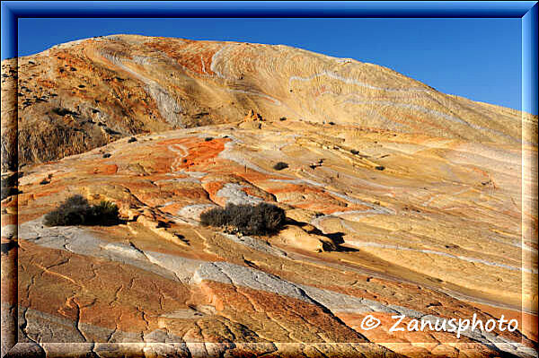 Yellow Rock, jetzt entdecken wir kleine Wacholderbüsche zwischen den Felsplatten