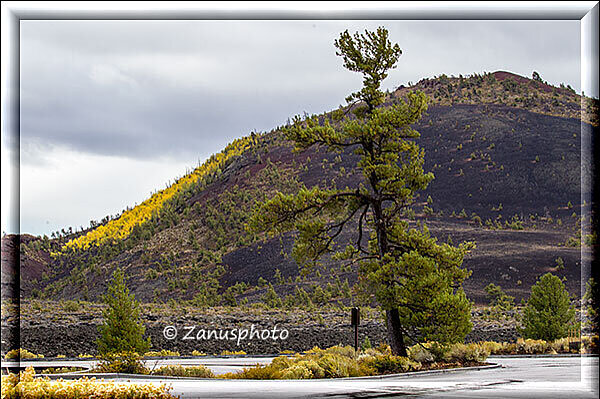 Craters of the Moon, riesiger Lava Cone an dem sich der Herbst nieder gelassen hat