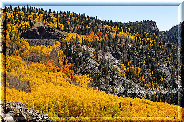 Cumbres Railroad, immer gelber wird die Umgebung durch die schönen Aspenhaine