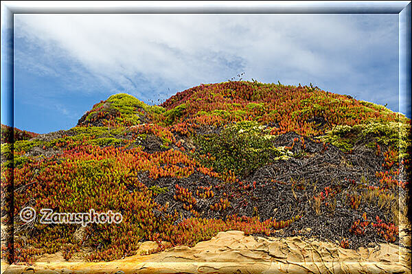 Pebble Beach auch hier finden wir im Herbst entsprechend bunte Farben an den Hängen