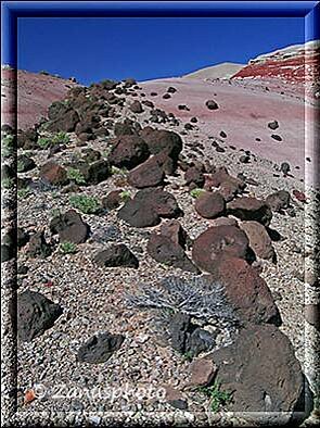 Cathedral Valley, am Ende unserer Route entdecken wir diese Felskegel der Bentonite Hills