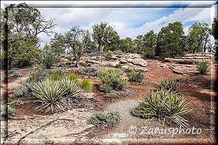 Canyon de Chelly, auf einer grossen Infotafel sind mehrere Infos zu erkennen
