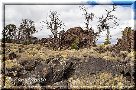 Craters of the Moon, alles aus Lavateilen geformt