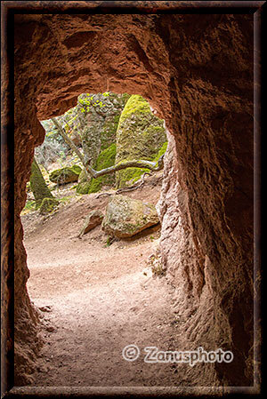 Pinnacles National Park, wir schauen zurück zum Eingang