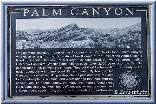 Palm Canyon, hier entdecken wir eine grosse Infotafel worauf die Erklärung über diesen Canyon zu lesen ist
