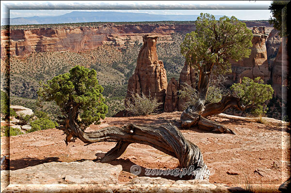 Colorado National Monument, ein Grand View am Canyonrand
