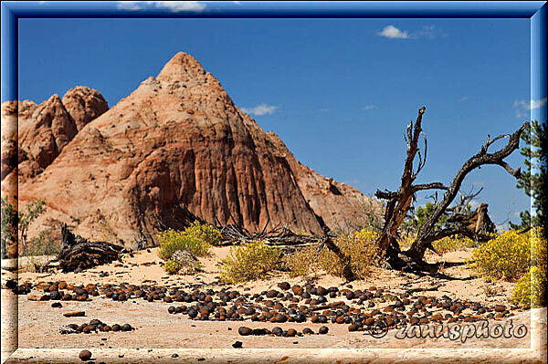 Old Shefield Road, Felshügel mit davor liegendem Moqui Kugelfeld